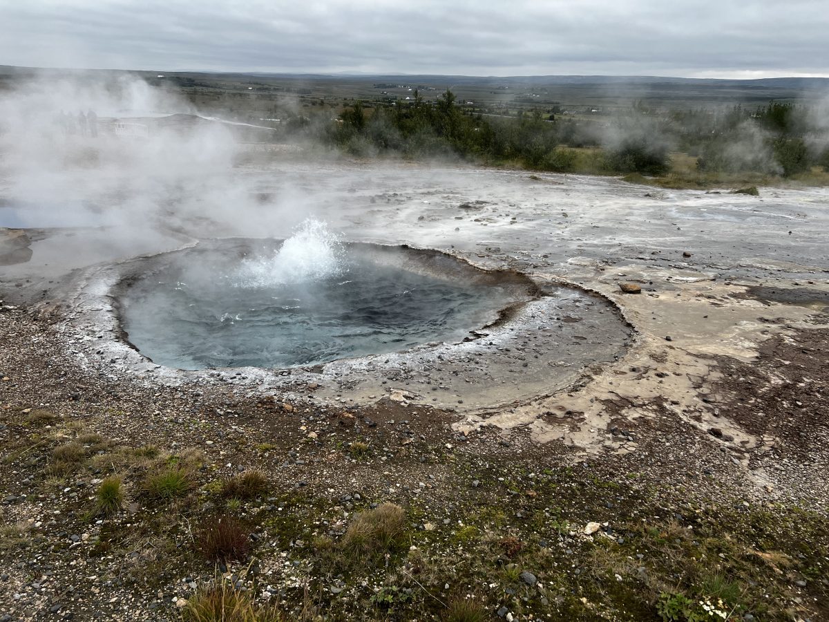 Ausflugsfoto - in Reykjavík - Island - Nordeuropa - Kreuzfahrt mit Mein Schiff 2 - 2026 - Bild 3