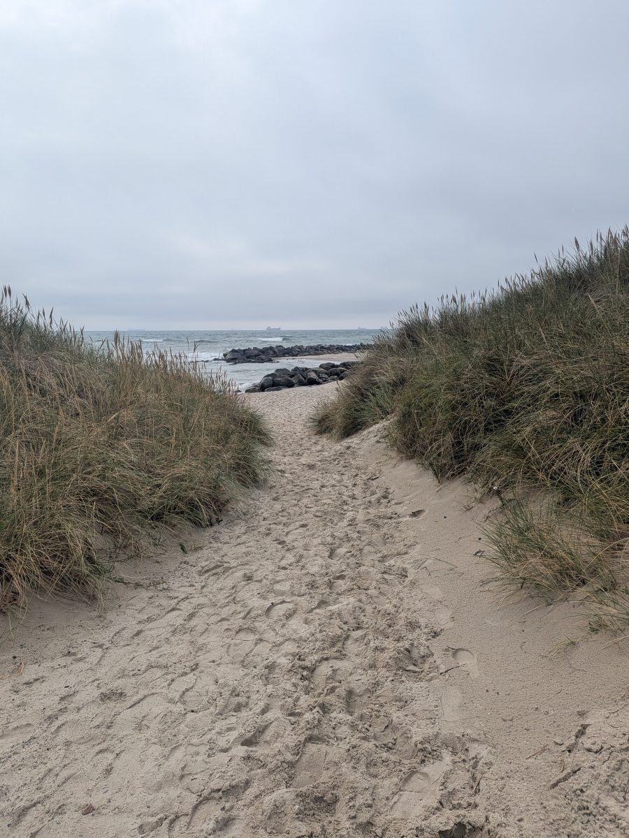 Ausflugsfoto - in Skagen - Dänemark - Nordeuropa - Kreuzfahrt mit AIDAnova - 2026 - Bild 4