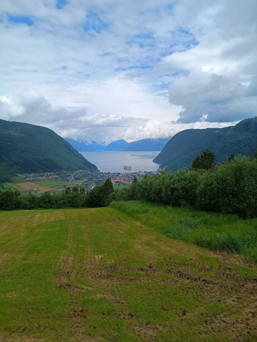 Ausflugsfoto - in Vik - Norwegen - Nordeuropa - Kreuzfahrt mit AIDAsol - 2025