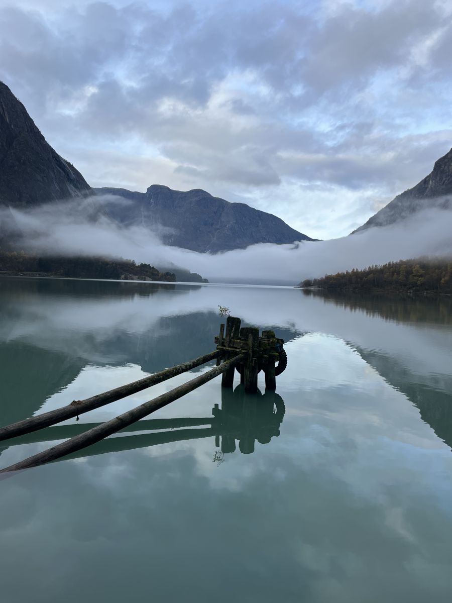 Ausflugsfoto - in Vik - Norwegen - Nordeuropa - Kreuzfahrt mit AIDAdiva - 2025