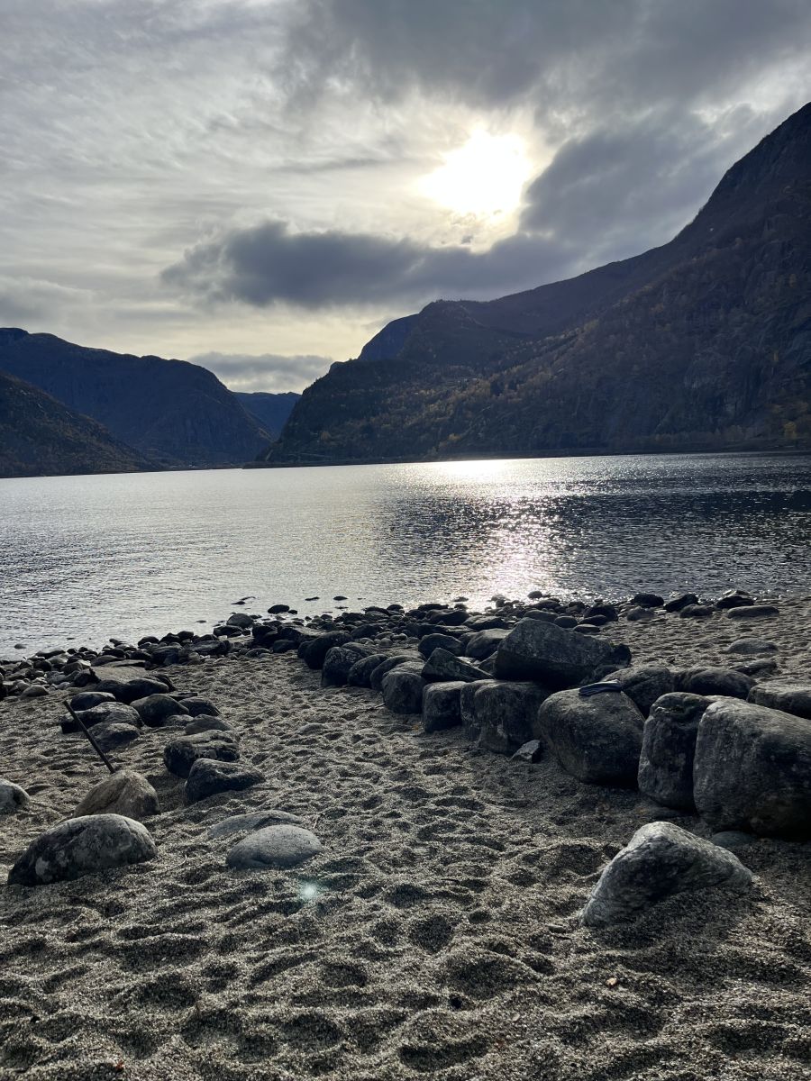 Ausflugsfoto - in Vik - Norwegen - Nordeuropa - Kreuzfahrt mit AIDAdiva - 2025 - Bild 2