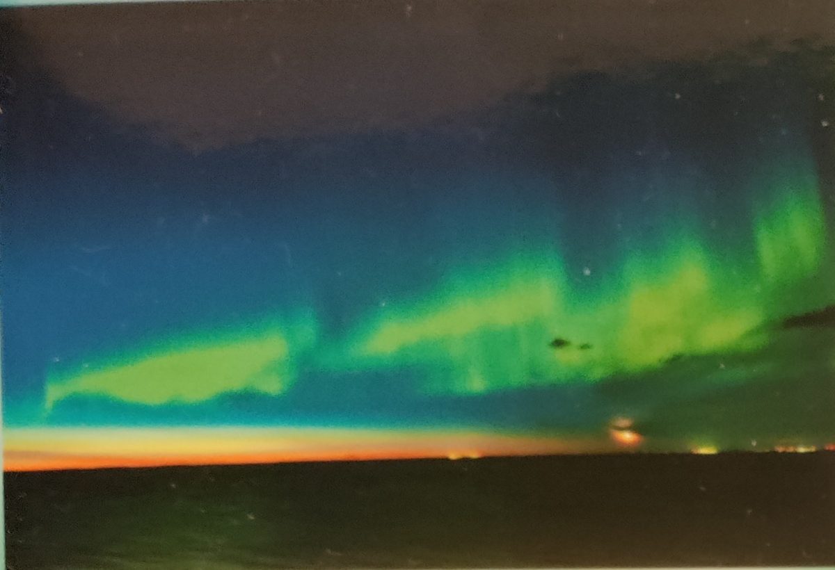 Ausflugsfoto - in Danzig / Gdingen - Polen - Ostsee - Kreuzfahrt mit AIDAmar - 2026 - Bild 4