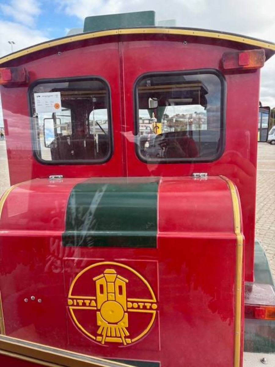 Ausflugsfoto - in Stockholm - Schweden - Nordeuropa - Kreuzfahrt mit AIDAdiva - Region Ostsee - 2025 - Bild 10