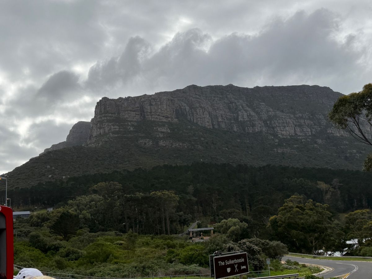 Ausflugsfoto - in Kapstadt - Südafrika - Indischer Ozean - Kreuzfahrt mit AIDAstella - Region Afrika - 2025 - Bild 5
