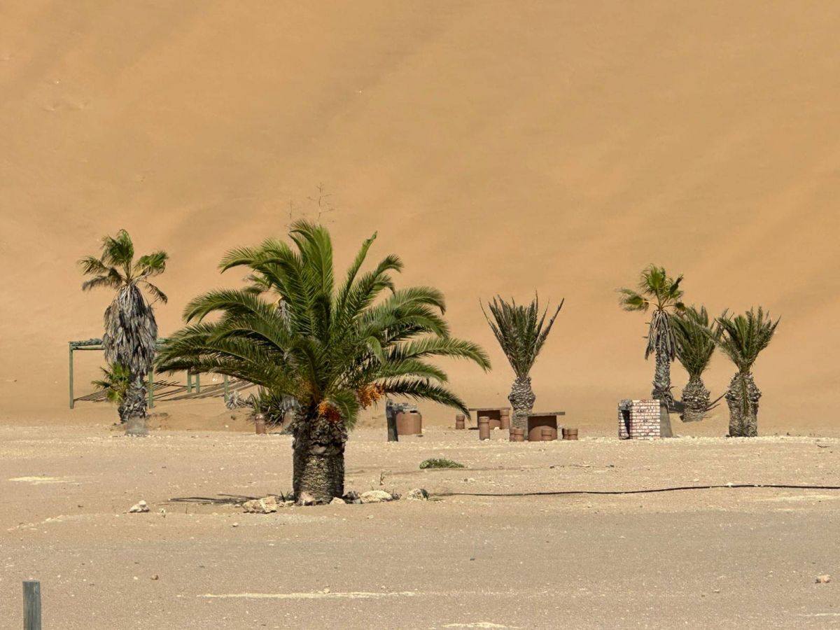 Ausflugsfoto - in Walfischbucht - Namibia - Indischer Ozean - Kreuzfahrt mit Norwegian Sky - Region Afrika - 2025 - Bild 5
