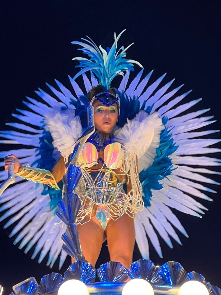 Ausflugsfoto - Kreuzfahrt mit AIDAmar - Region Afrika - 2026 - Bild 4