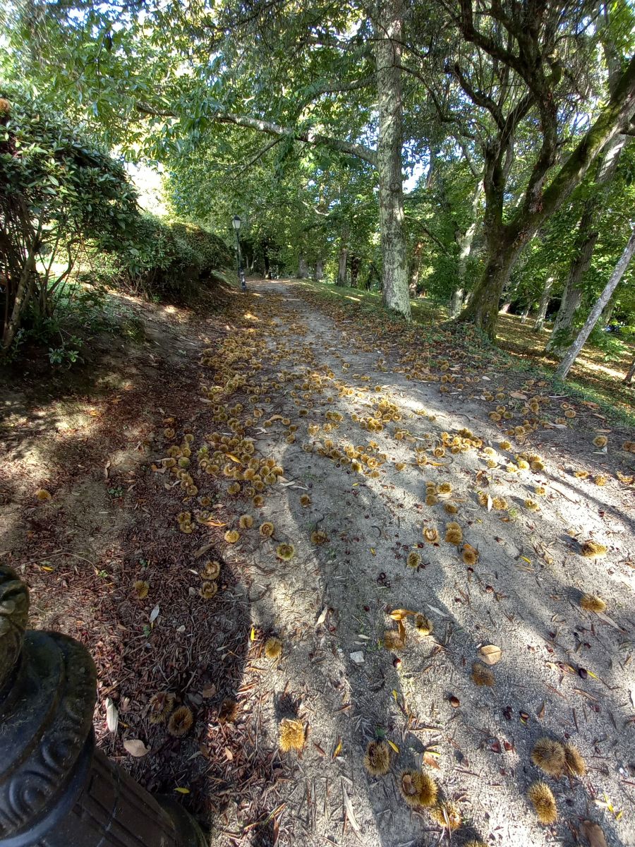 Ausflugsfoto - in La Coruña - Spanien - Westeuropa - Kreuzfahrt mit AIDAluna - 2025 - Bild 2