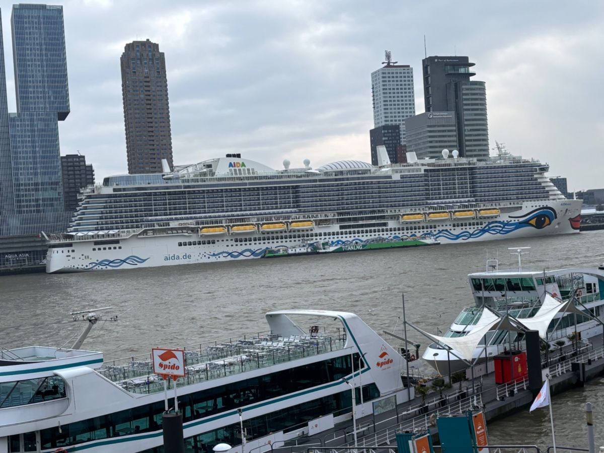 Ausflugsfoto - in Rotterdam - Niederlande - Westeuropa - Kreuzfahrt mit AIDAnova - 2025 - Bild 2