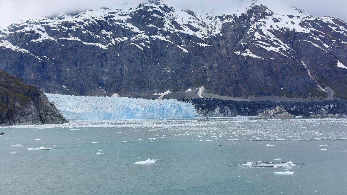 Ausflugsfoto - Kreuzfahrt mit MS Koningsdam - Region Alaska - 2025 - Bild 10