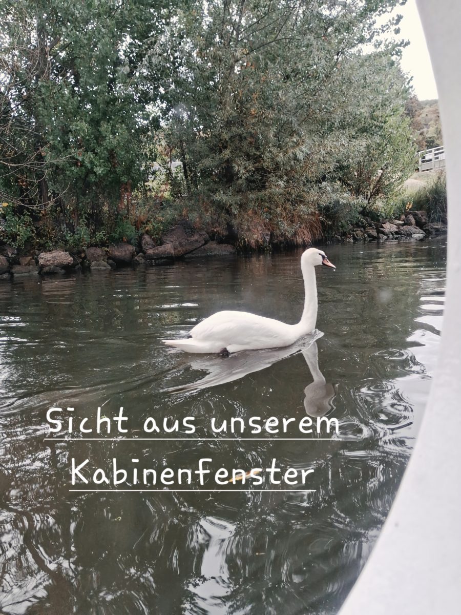 Ausflugsfoto - Kreuzfahrt mit A-ROSA VIVA - Region Seine - 2026 - Bild 9