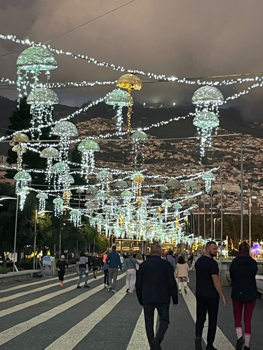 Ausflugsfoto - in Funchal - Madeira - Portugal - Kanaren - Kreuzfahrt mit AIDAcosma - 2025