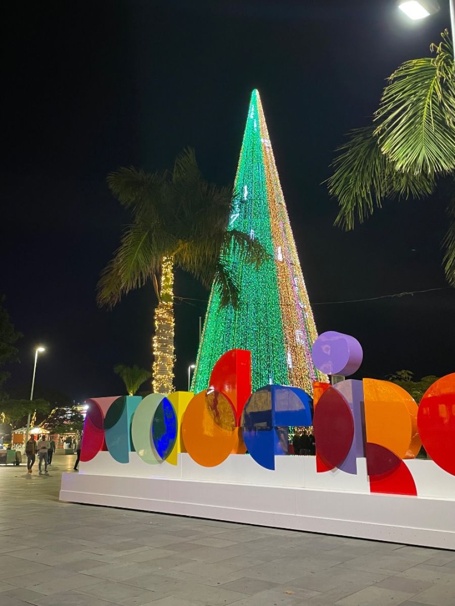 Ausflugsfoto - in Funchal - Madeira - Portugal - Kanaren - Kreuzfahrt mit AIDAcosma - 2025 - Bild 2