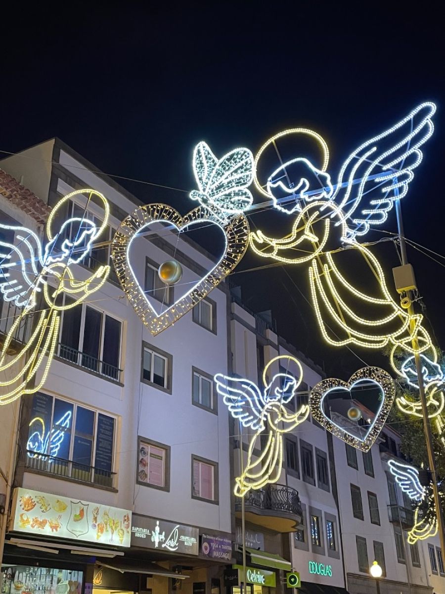 Ausflugsfoto - in Funchal - Madeira - Portugal - Kanaren - Kreuzfahrt mit AIDAcosma - 2025 - Bild 3