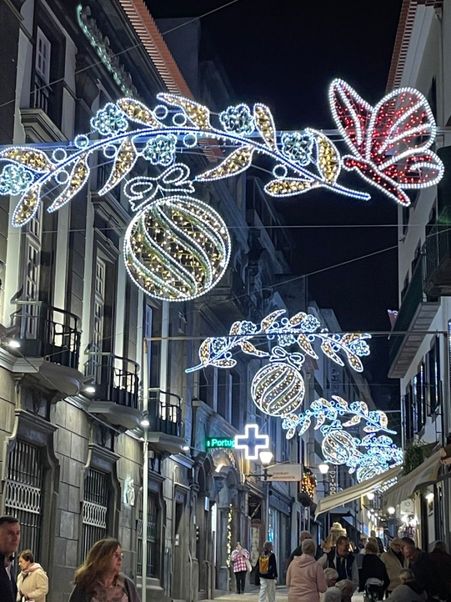 Ausflugsfoto - in Funchal - Madeira - Portugal - Kanaren - Kreuzfahrt mit AIDAcosma - 2025 - Bild 4