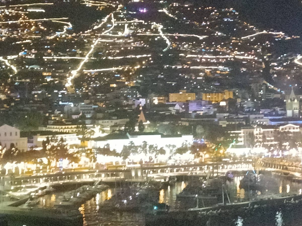 Ausflugsfoto - in Funchal - Madeira - Portugal - Kanaren - Kreuzfahrt mit Mein Schiff Relax - 2025 - Bild 2