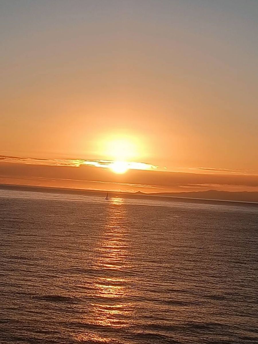 Ausflugsfoto - in Funchal - Madeira - Portugal - Kanaren - Kreuzfahrt mit Mein Schiff Relax - 2025 - Bild 4