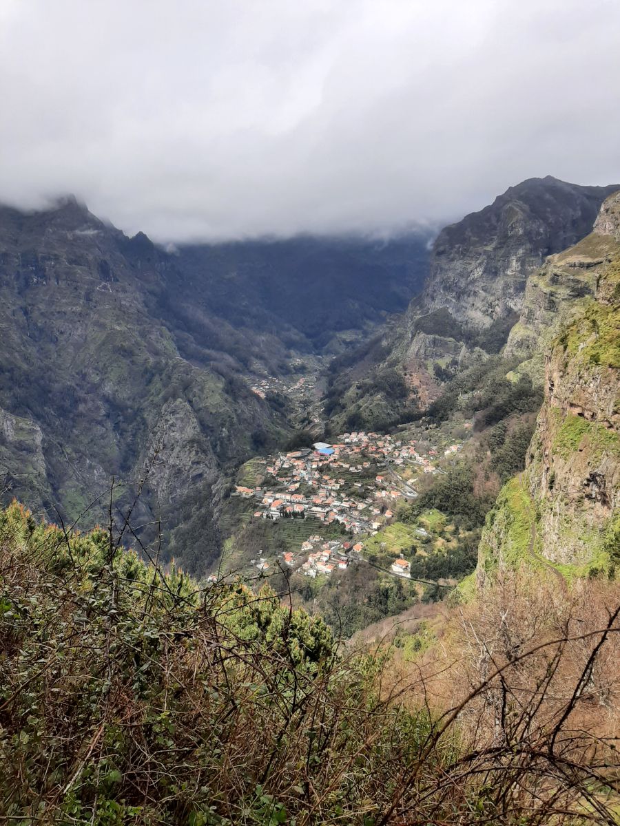 Ausflugsfoto - in Funchal - Madeira - Portugal - Kanaren - Kreuzfahrt mit Mein Schiff 7 - 2026