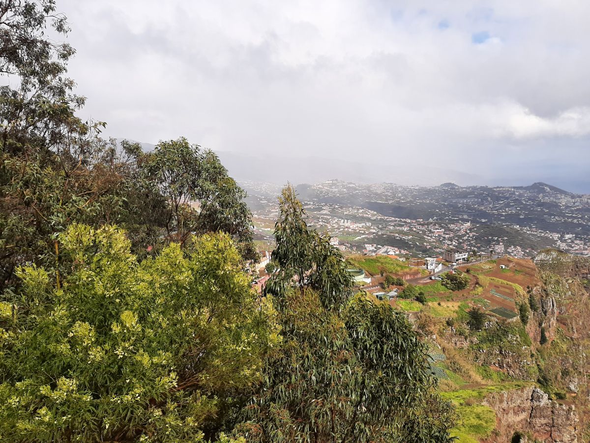 Ausflugsfoto - in Funchal - Madeira - Portugal - Kanaren - Kreuzfahrt mit Mein Schiff 7 - 2026 - Bild 3