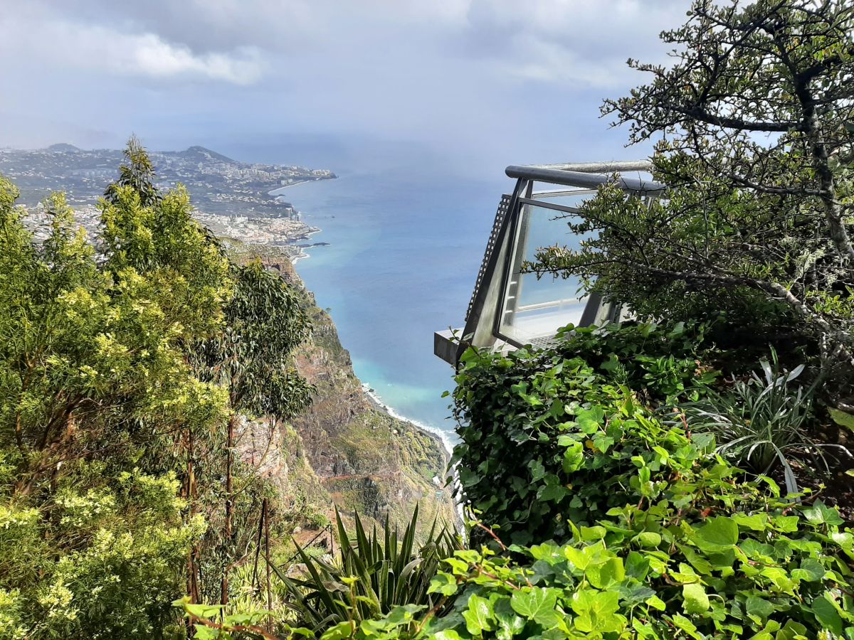 Ausflugsfoto - in Funchal - Madeira - Portugal - Kanaren - Kreuzfahrt mit Mein Schiff 7 - 2026 - Bild 4