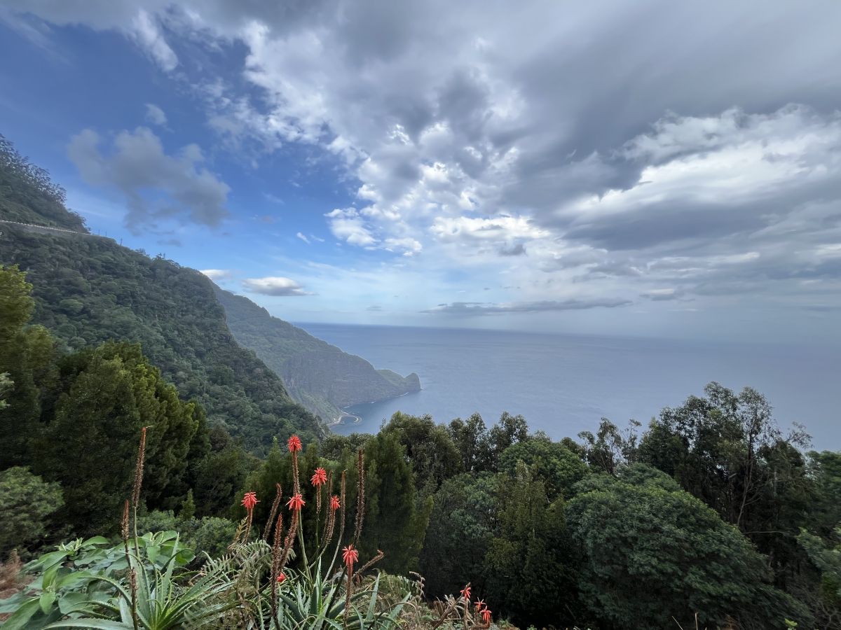 Ausflugsfoto - in Funchal - Madeira - Portugal - Kanaren - Kreuzfahrt mit Mein Schiff 5 - 2025 - Bild 2