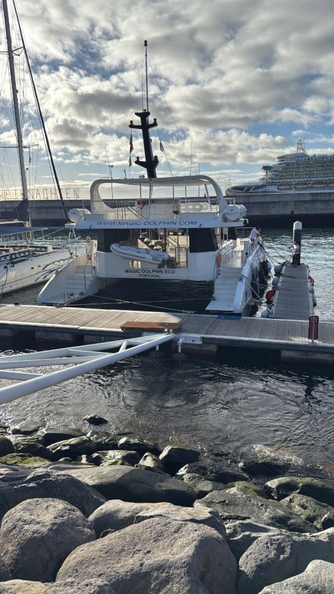 Ausflugsfoto - in Funchal - Madeira - Portugal - Kanaren - Kreuzfahrt mit AIDAcosma - 2025 - Bild 2