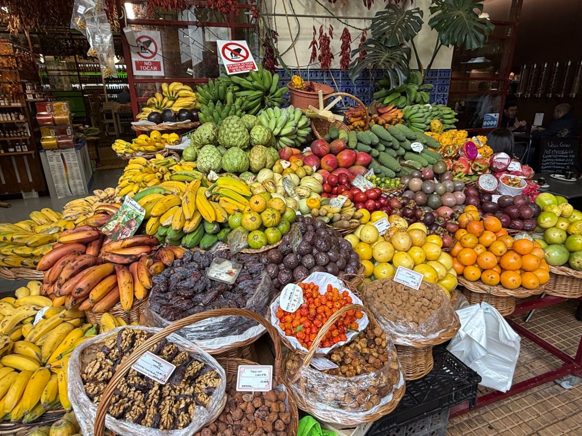 Ausflugsfoto - in Funchal - Madeira - Portugal - Kanaren - Kreuzfahrt mit AIDAcosma - 2025 - Bild 5