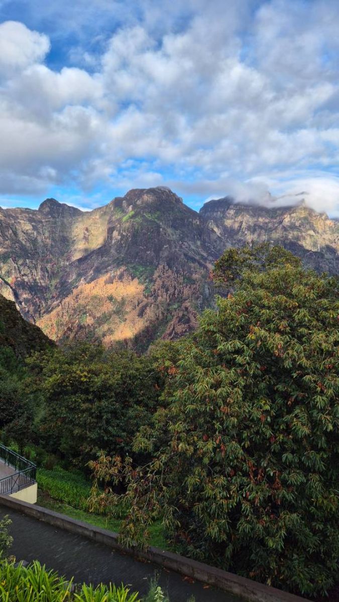 Ausflugsfoto - in Funchal - Madeira - Portugal - Kanaren - Kreuzfahrt mit AIDAcosma - 2024