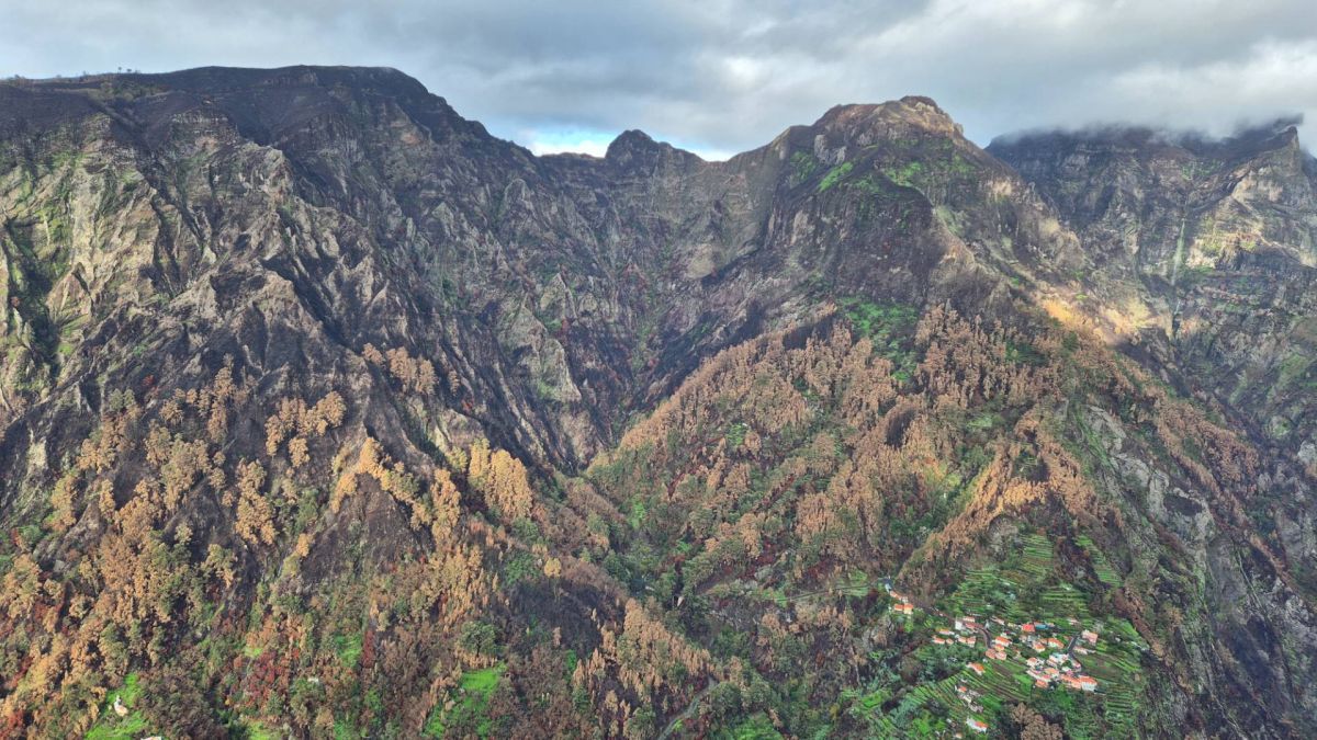 Ausflugsfoto - in Funchal - Madeira - Portugal - Kanaren - Kreuzfahrt mit AIDAcosma - 2024 - Bild 3