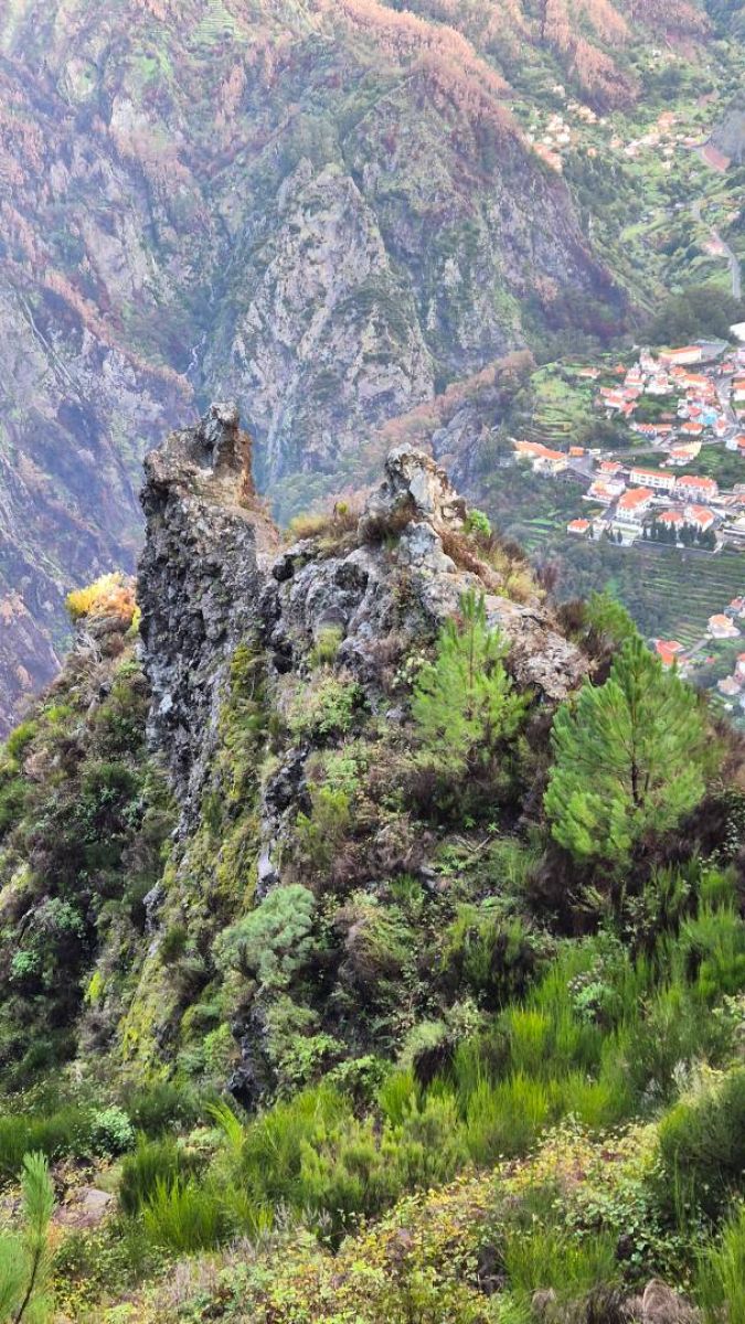 Ausflugsfoto - in Funchal - Madeira - Portugal - Kanaren - Kreuzfahrt mit AIDAcosma - 2024 - Bild 4