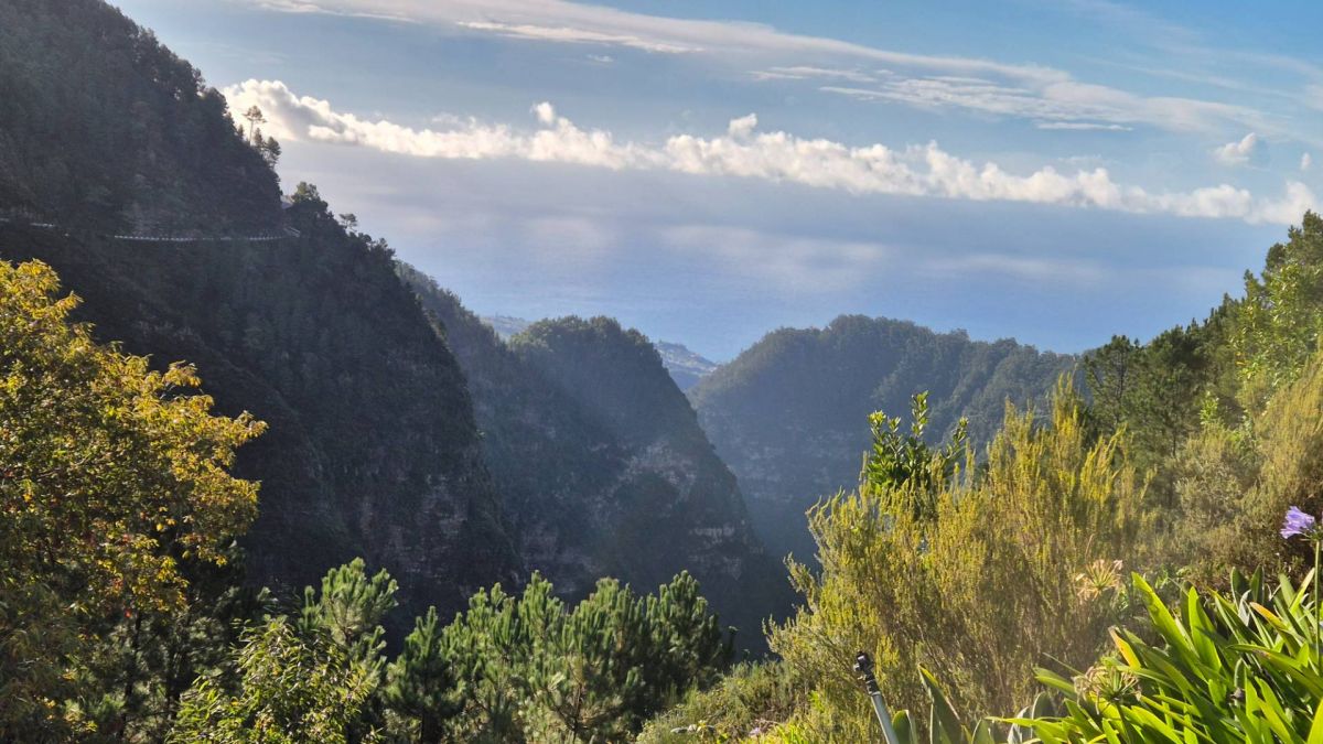 Ausflugsfoto - in Funchal - Madeira - Portugal - Kanaren - Kreuzfahrt mit AIDAcosma - 2024 - Bild 5