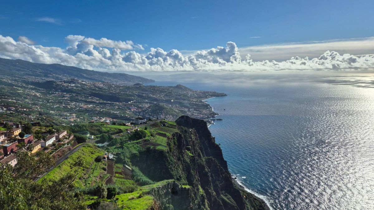 Ausflugsfoto - in Funchal - Madeira - Portugal - Kanaren - Kreuzfahrt mit AIDAcosma - 2024 - Bild 7