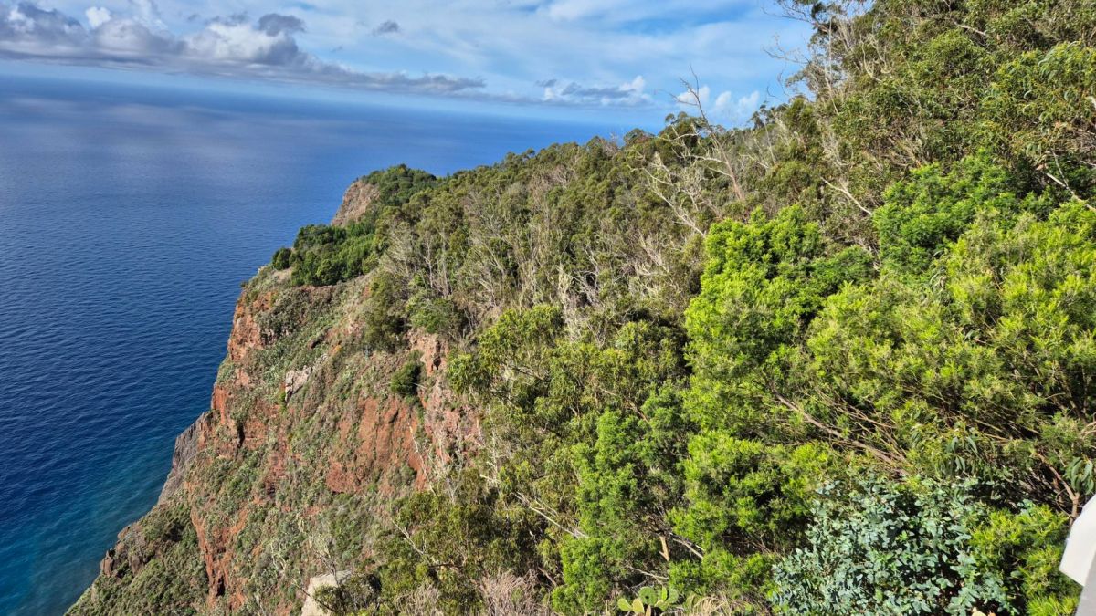 Ausflugsfoto - in Funchal - Madeira - Portugal - Kanaren - Kreuzfahrt mit AIDAcosma - 2024 - Bild 9