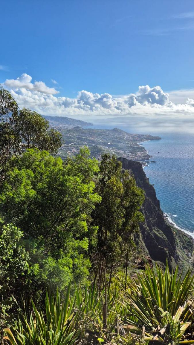 Ausflugsfoto - in Funchal - Madeira - Portugal - Kanaren - Kreuzfahrt mit AIDAcosma - 2024 - Bild 10