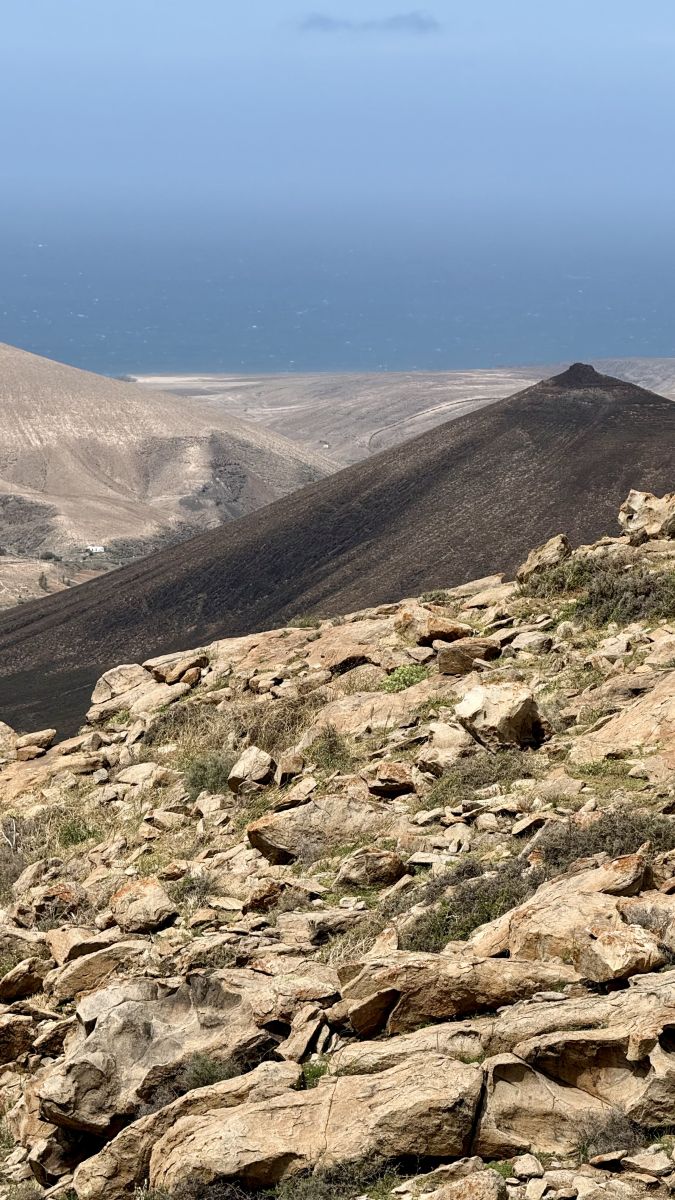 Ausflugsfoto - in Fuerteventura - Spanien - Kanaren - Kreuzfahrt mit AIDAluna - 2026 - Bild 4