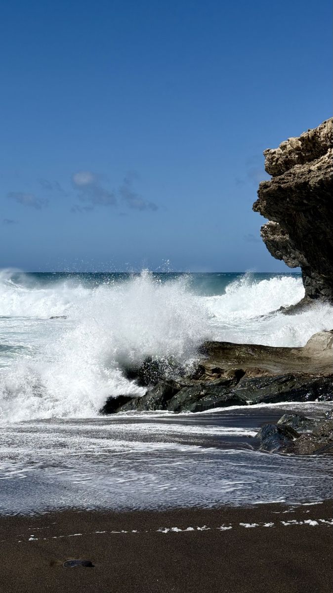 Ausflugsfoto - in Fuerteventura - Spanien - Kanaren - Kreuzfahrt mit AIDAluna - 2026 - Bild 5