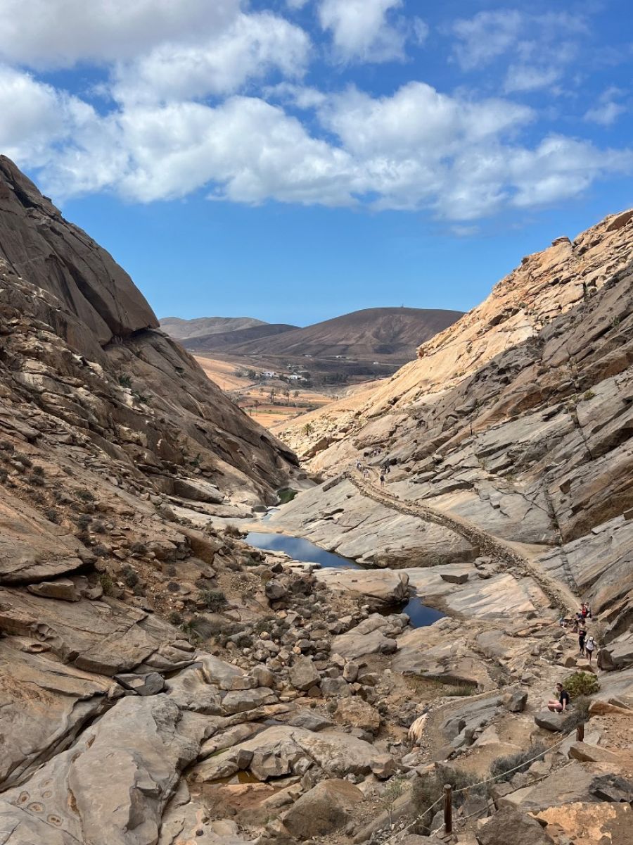 Ausflugsfoto - in Fuerteventura - Spanien - Kanaren - Kreuzfahrt mit AIDAcosma - 2025