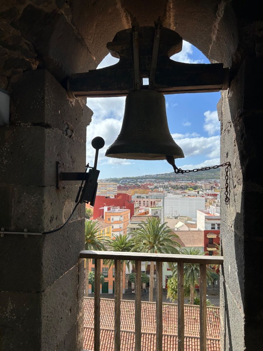 Ausflugsfoto - in Santa Cruz de Tenerife - Spanien - Kanaren - Kreuzfahrt mit AIDAcosma - 2025