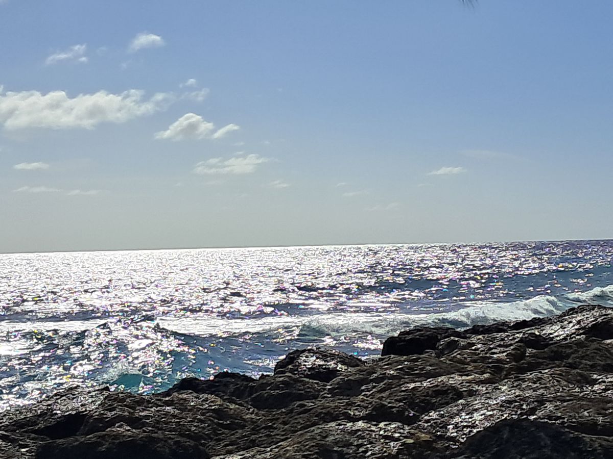 Ausflugsfoto - in Bridgetown - Barbados - Karibik - Kreuzfahrt mit AIDAsol - 2026 - Bild 3