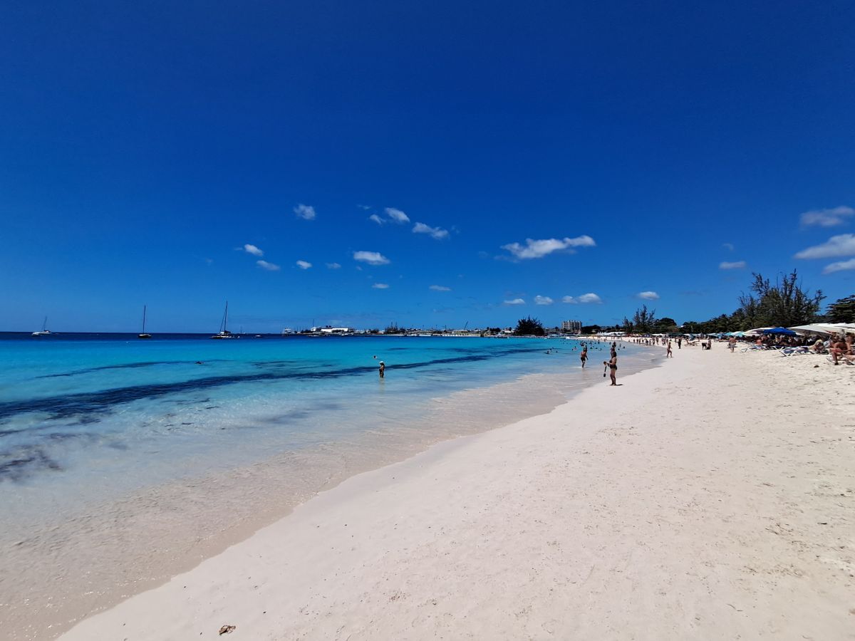 Ausflugsfoto - in Bridgetown - Barbados - Karibik - Kreuzfahrt mit AIDAsol - 2026 - Bild 5
