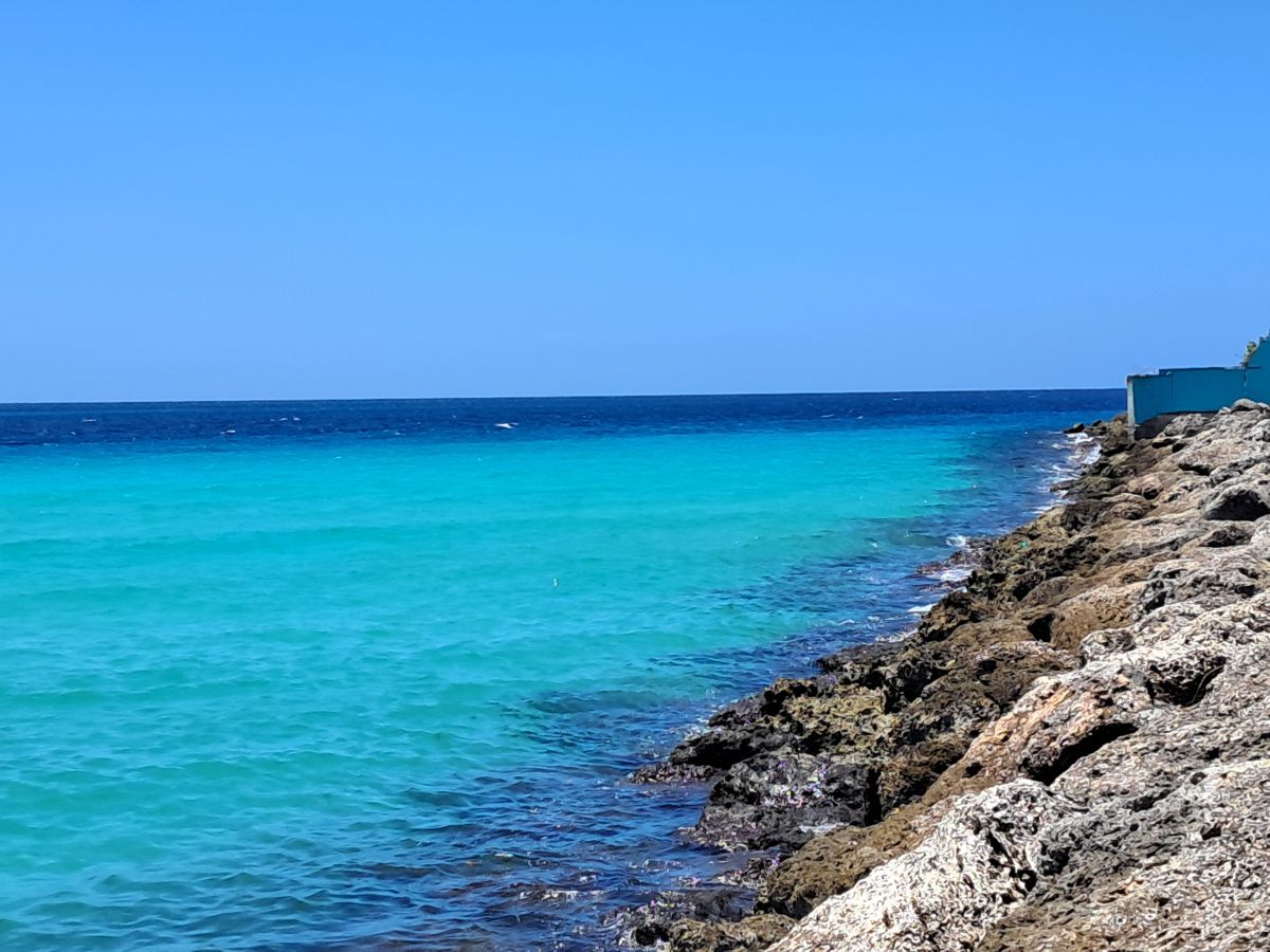 Ausflugsfoto - in Bridgetown - Barbados - Karibik - Kreuzfahrt mit AIDAsol - 2026 - Bild 6