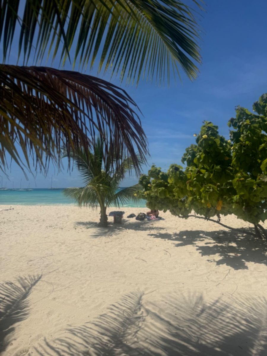 Ausflugsfoto - in Bridgetown - Barbados - Karibik - Kreuzfahrt mit AIDAperla - 2025
