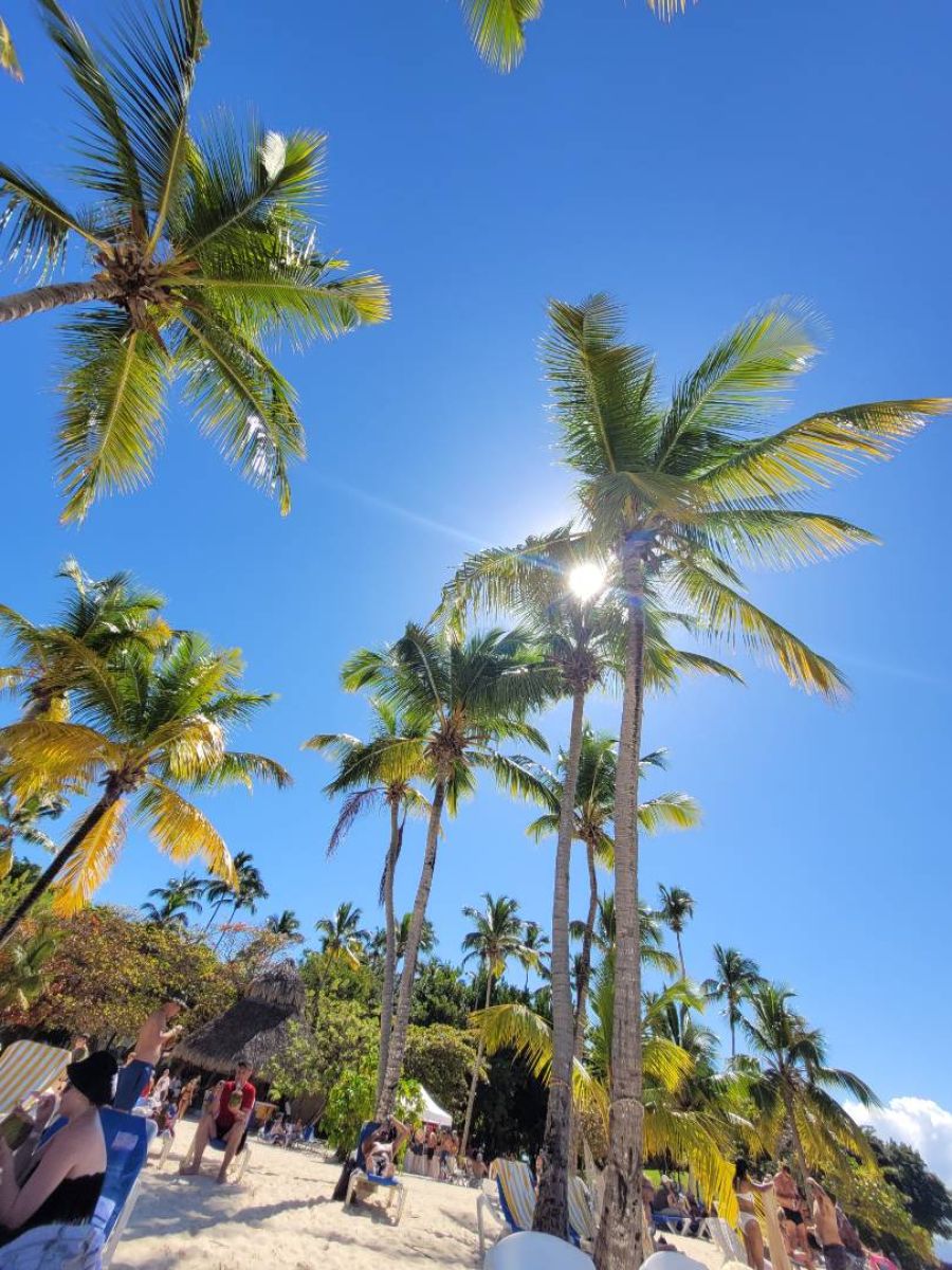 Ausflugsfoto - in Cartagena - Kolumbien - Karibik - Kreuzfahrt mit AIDAblu - 2026 - Bild 5