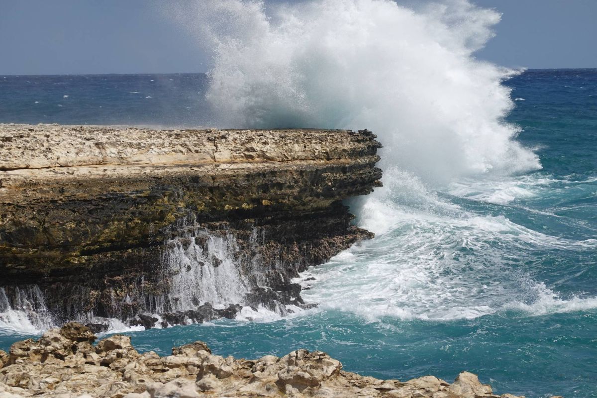 Ausflugsfoto - in Cartagena - Kolumbien - Karibik - Kreuzfahrt mit AIDAblu - 2026 - Bild 4