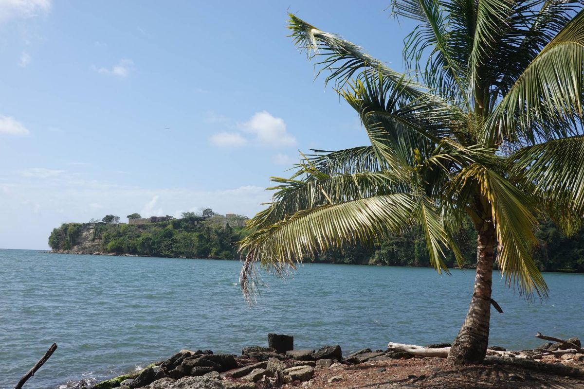 Ausflugsfoto - in Cartagena - Kolumbien - Karibik - Kreuzfahrt mit AIDAblu - 2026 - Bild 10