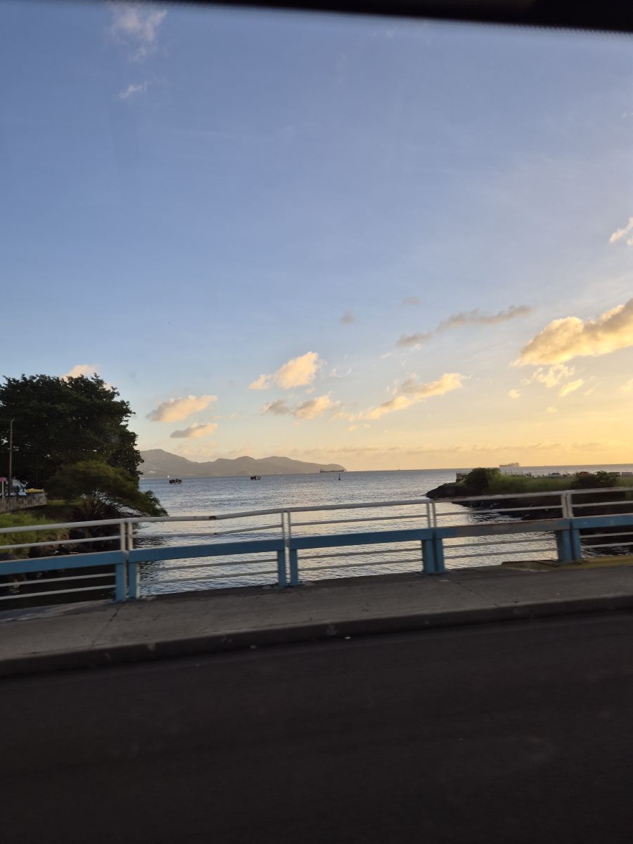 Ausflugsfoto - in Fort-de-France - Martinique - Karibik - Kreuzfahrt mit AIDAperla - 2025