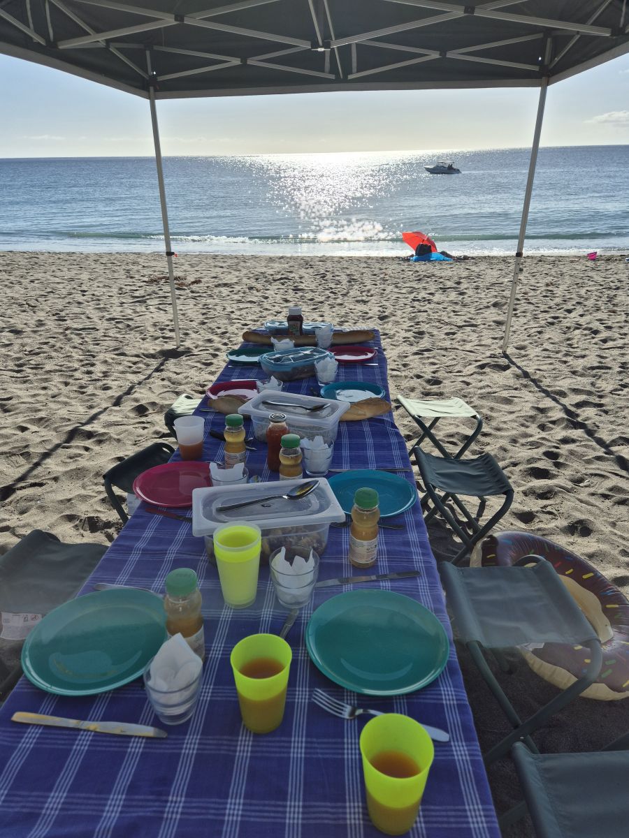 Ausflugsfoto - in Fort-de-France - Martinique - Karibik - Kreuzfahrt mit AIDAperla - 2025 - Bild 2