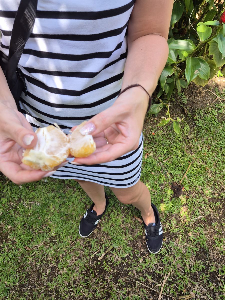 Ausflugsfoto - in Fort-de-France - Martinique - Karibik - Kreuzfahrt mit AIDAperla - 2025 - Bild 6