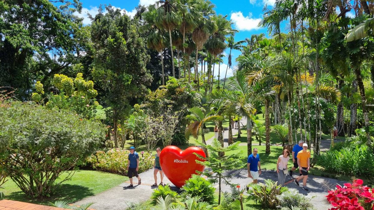 Ausflugsfoto - in Fort-de-France - Martinique - Karibik - Kreuzfahrt mit Mein Schiff 2 - 2026 - Bild 3