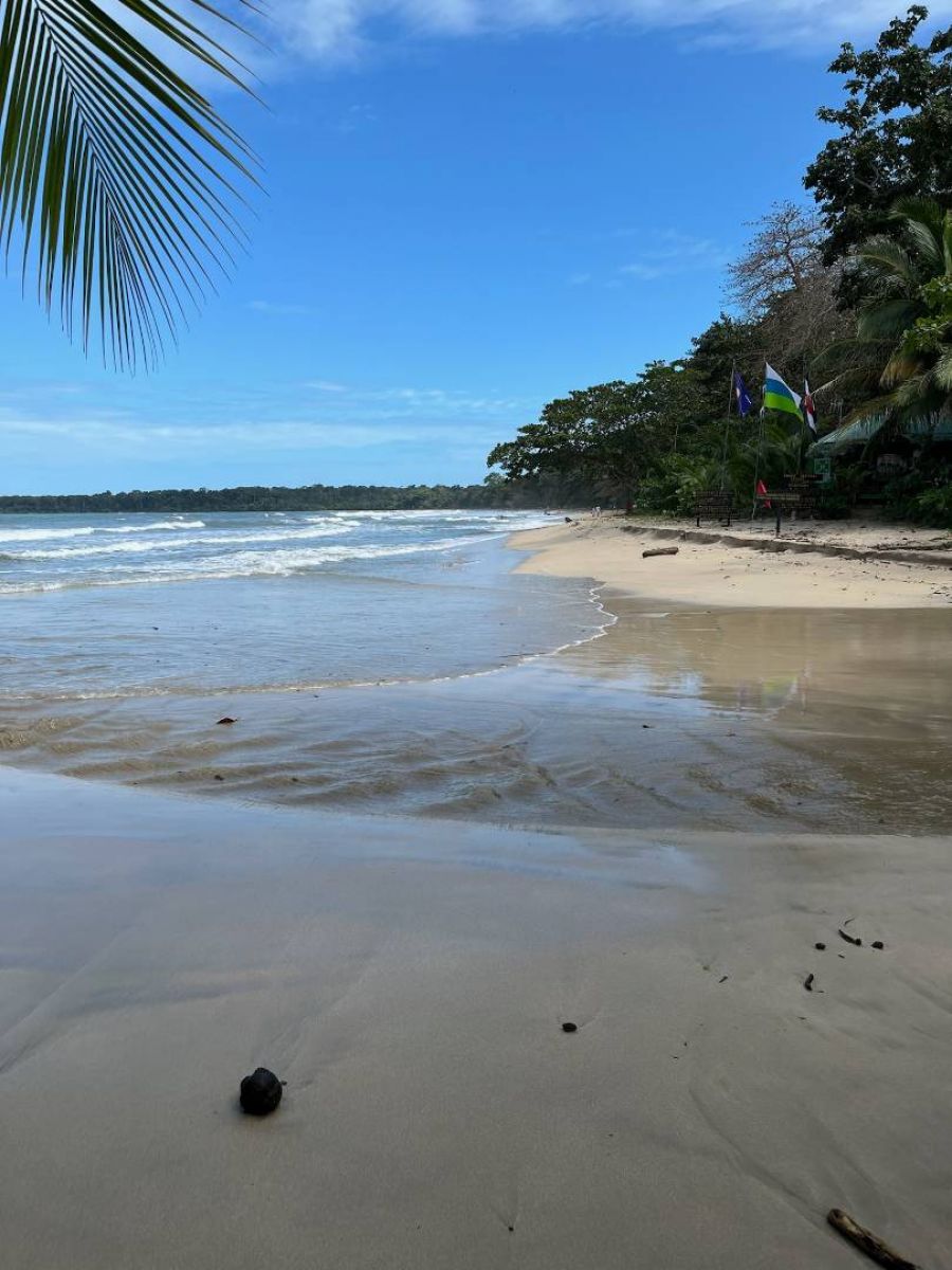 Ausflugsfoto - in Limón - Costa Rica - Karibik - Kreuzfahrt mit Mein Schiff 1 - 2025