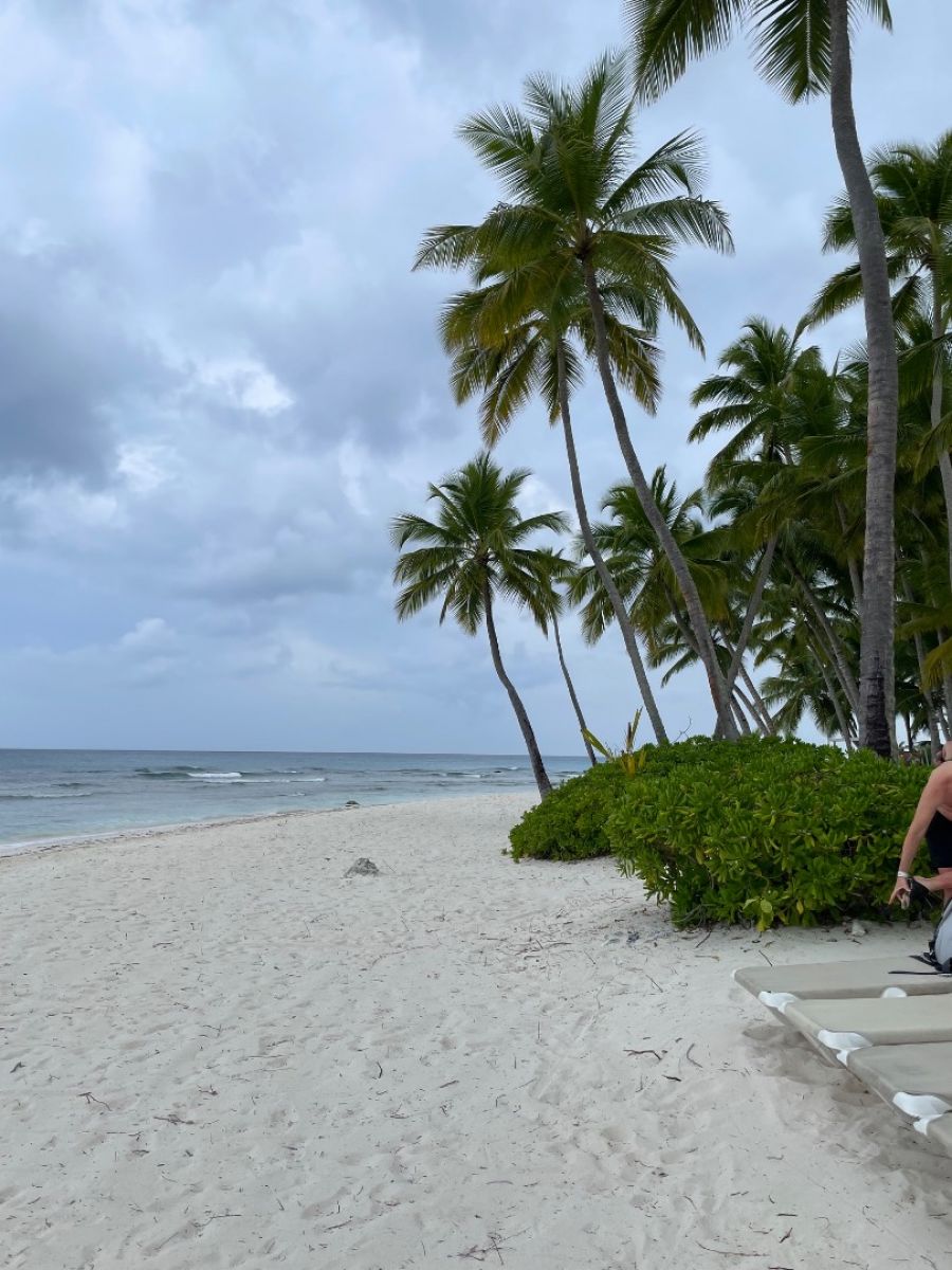 Ausflugsfoto - in La Romana - Dominikanische Republik - Karibik - Kreuzfahrt mit Mein Schiff 1 - 2025